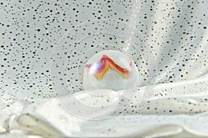 A large polished and shimmering marble, bullet of glass, in colour of nacre lying on a ground of white and gold sparkling texture