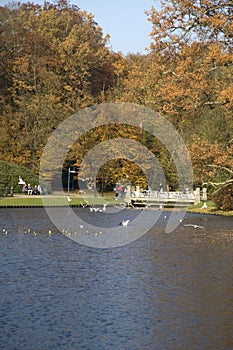 Large pond in park Sonsbeek in Arnhem