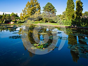 Large pond with water lilies in an italian public park.