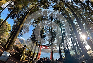 Tori gate near Hakone shrine in Japan
