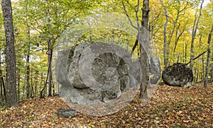 Large Precambrian Boulders in a Fall Forest - Ontario, Canada