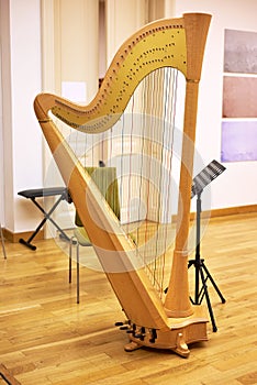 A large professional musical harp.