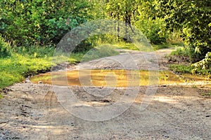 A large puddle on a forest road. Russia