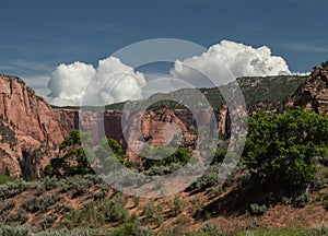 Large Puffy Clouds Build On The Cliffs Of Kolob Canyon