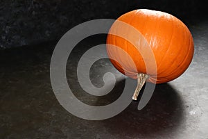 Large pumpkin casting a shadow