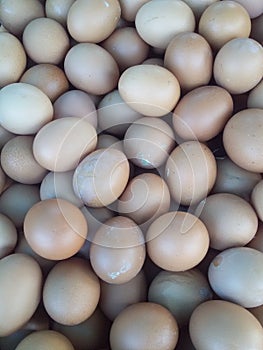 large quantities of chicken eggs sold by retailers.