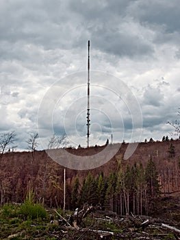 large radio tower stands in the middle of the forest