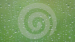 Large rain drops strike a window pane during a summer shower.