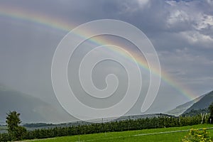 A large rainbow emerges from the clouds over an apple planted field in Val Venosta, Prato allo Stelvio, Italy