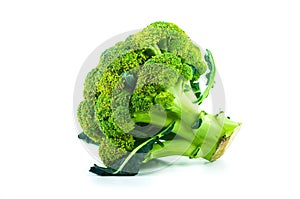 Large raw fresh head of broccoli cabbage on white background, healthy vegetarian food, isolated, close-up