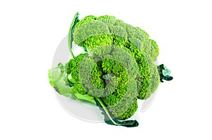 Large raw fresh head of broccoli cabbage on white background, healthy vegetarian food, isolated, close-up