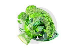 Large raw fresh head of broccoli cabbage on white background, healthy vegetarian food, isolated, close-up