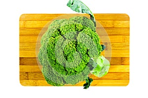 Large raw fresh head of broccoli cabbage on a wooden board, white background, healthy vegetarian food, isolated, close