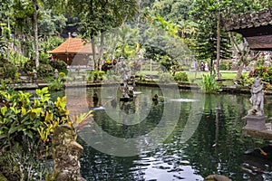 Large rectangular pond at the Gunung Kawi Sebatu Temple, Ubud, Bali, Indonesia