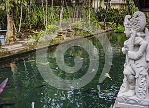 Large rectangular pond at the Gunung Kawi Sebatu Temple, Ubud, Bali, Indonesia