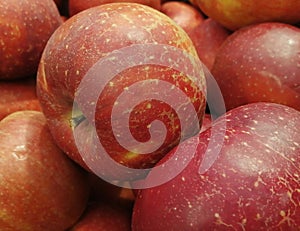 Large red apples close-up. Photo of juicy fruits