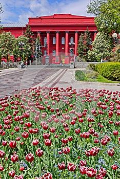 A large red building with columns on the facade against a blue sky with white clouds, in front of the building is a wide