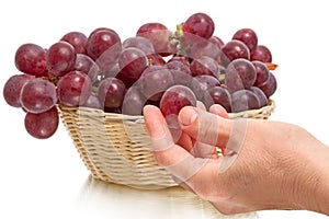 Large red grapes and hand