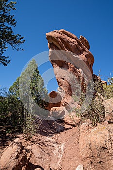 Large red rock sandstone formations in Garden of the Gods Park in Colorado Springs USA