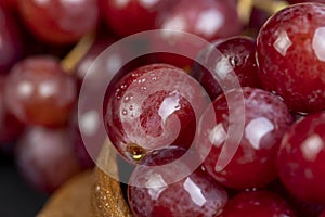 large red wet grapes in drops of water