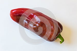 Large ripe bright red Capsicum annuum Cubanelle pepper, Cuban pepper, Italian frying pepper