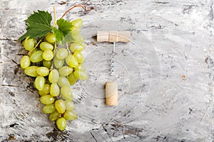Large ripe green Riesling grape grone corkscrew and wine cork stopper. Ripe juicy green grapes on light gray concrete background
