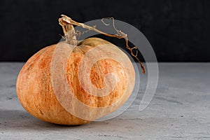 Large ripe orange pumpkin on a dark gray concrete surface, close-up