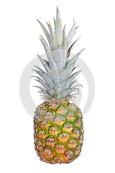 Large, ripe pineapple isolated on a white background