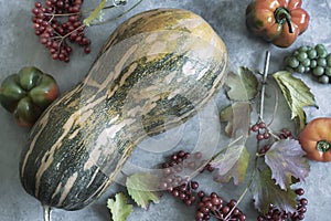 Large ripe pumpkin and viburnum berries on the table