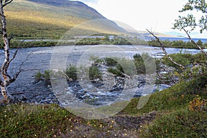 Large river in the arctic tundra. Abisko national park, Nothern Sweden