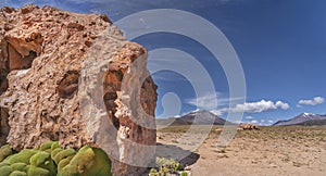 Large Rock in the Atacama Desert photo