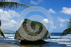 Large rock at bathsheba photo