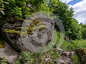 A large rock covered in green moss in the middle of a forest
