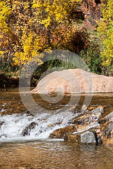 Large Rock in a Creek in Fall