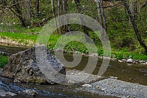 large rock in a creek at a nature reserve