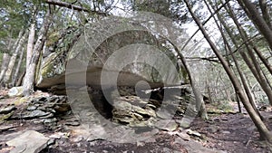 Large Rock formation in the forest