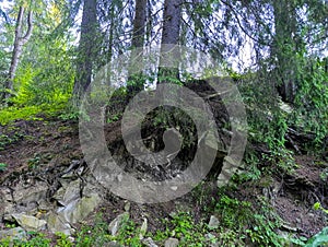 A large rock formation in the middle of a forest