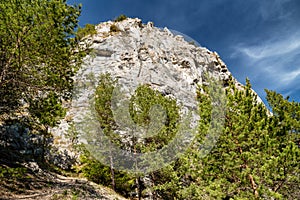 Large rock formation over forest. Cerenova skala, Slovakia