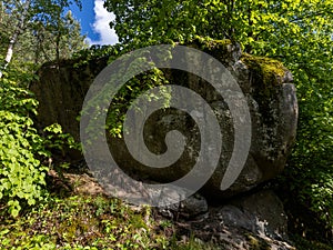 A large rock in the middle of a forest