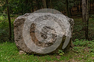 A large rock in the middle of the forest, close up.