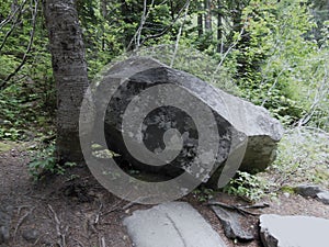 A large rock in Mt. Rainier National Park, Washington