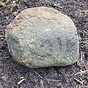 Large rock on mud