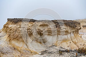 Large rock prominently featured in a desolate beach landscape