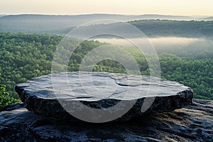 A large rock sits on a hillside in the middle of a forest
