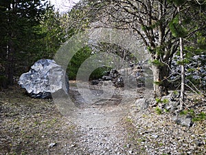 Large rock in the woods