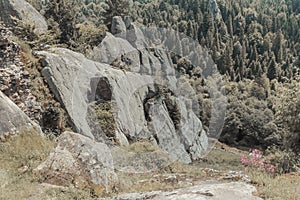 Large rocks in the forest. Summer mountain landscape with big boulders in the mountains.