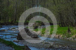 large rocks in a streambed at a nature reserve