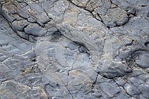 Large Rocks with Striations and Grooves on the Shore Path Bar Harbor Maine