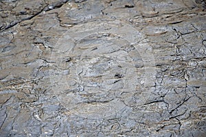 Large Rocks with Striations and Grooves on the Shore Path Bar Harbor Maine