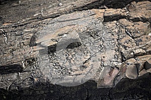 Large Rocks with Striations and Grooves on the Shore Path Bar Harbor Maine